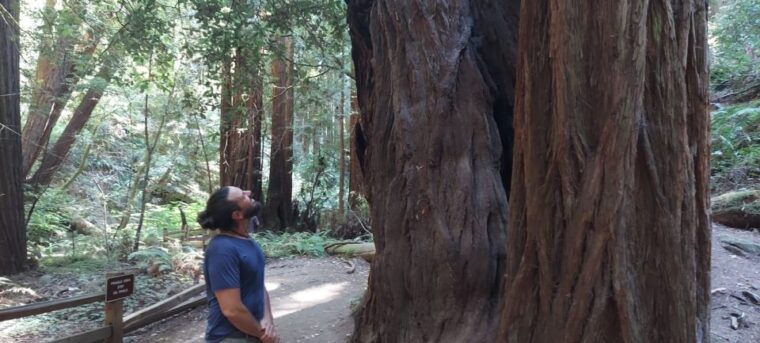 san-francisco-muir-woods-and-sausalito-small-group-tour-2