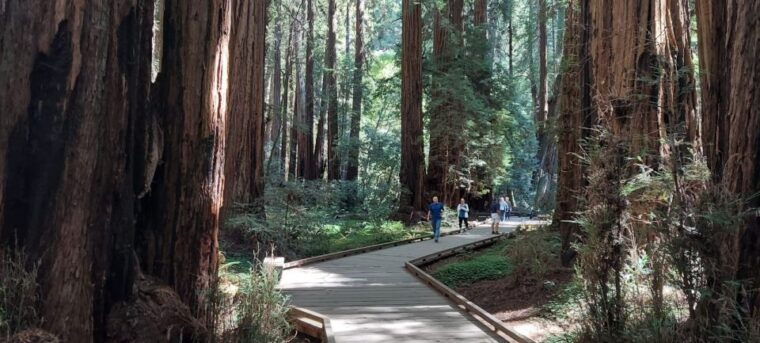 san-francisco-muir-woods-and-sausalito-small-group-tour-2