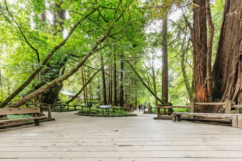 san-francisco-muir-woods-and-sausalito-small-group-tour