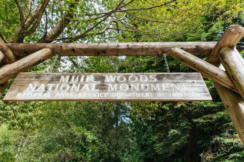 san-francisco-muir-woods-and-sausalito-small-group-tour
