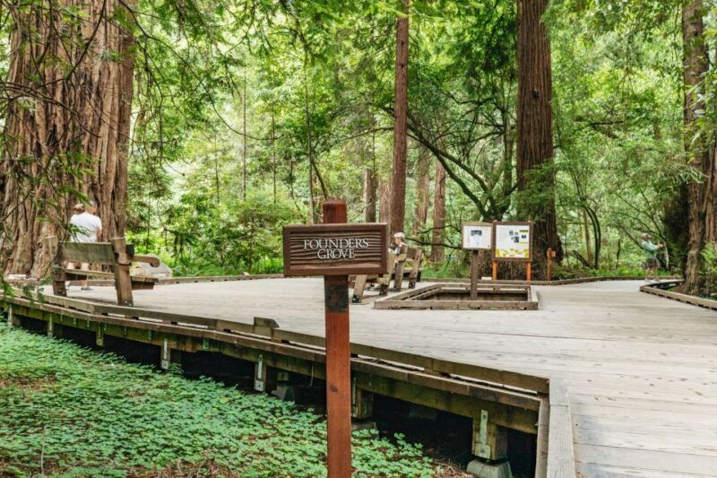 san-francisco-muir-woods-and-sausalito-small-group-tour