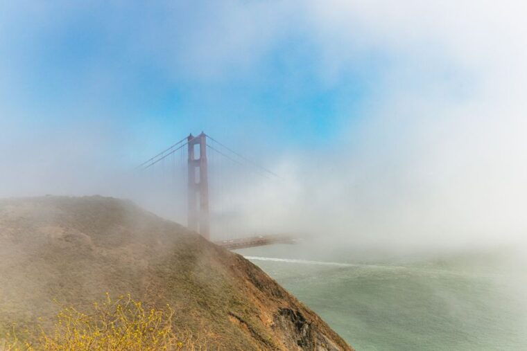 san-francisco-muir-woods-and-sausalito-small-group-tour