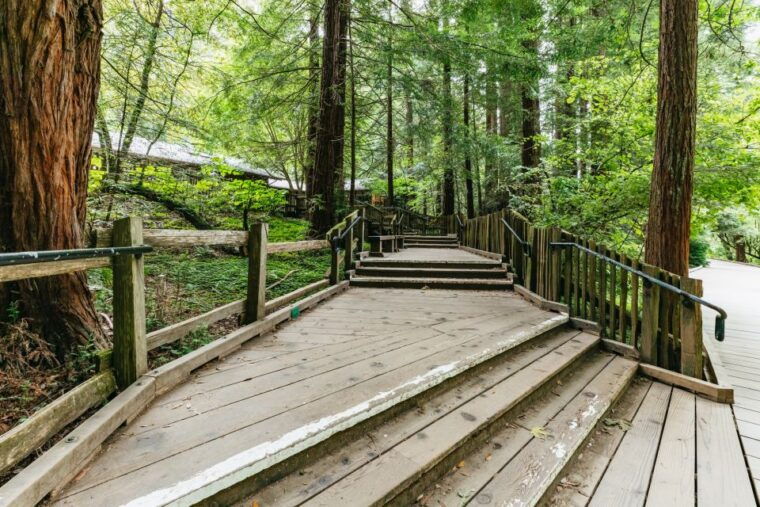 san-francisco-muir-woods-and-sausalito-small-group-tour