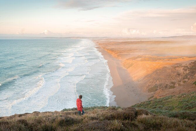 san-francisco-muir-woods-point-reyes-and-meadery-tour