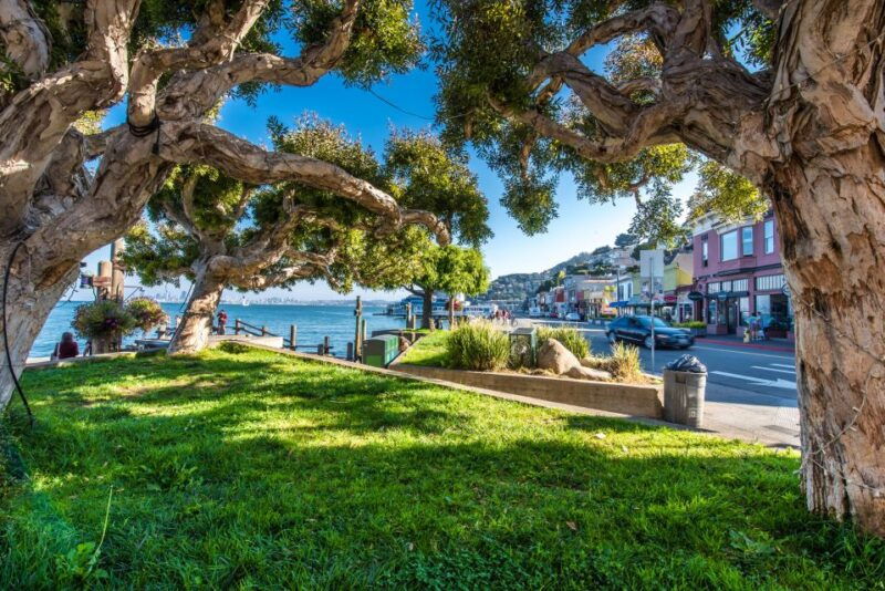san-francisco-muir-woods-san-francisco-and-sausalito-tour
