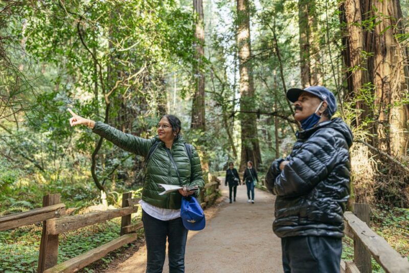 san-francisco-muir-woods-sausalito-and-sf-bay-cruise