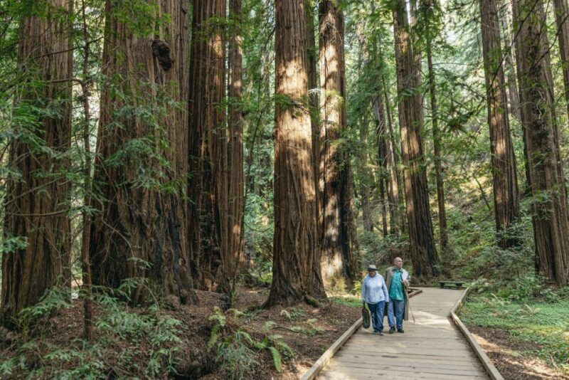 san-francisco-muir-woods-sausalito-and-sf-bay-cruise