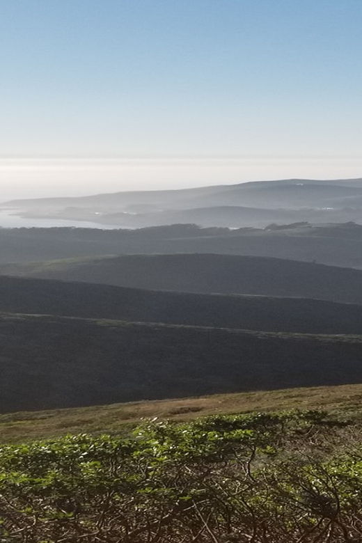 san-francisco-muir-woods-sausalito-and-sonoma-wine-tour