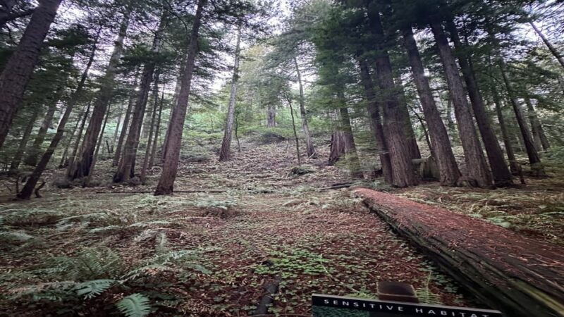 san-francisco-muir-woods-sausalito-and-sonoma-wine-tour