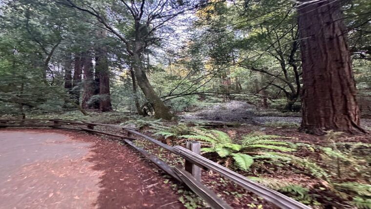 san-francisco-muir-woods-sausalito-and-sonoma-wine-tour