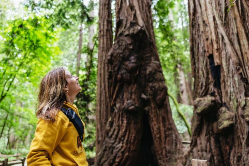 san-francisco-muir-woods-sausalito-tour-with-ferry-option