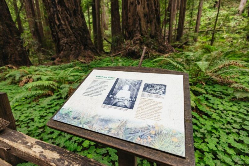 san-francisco-muir-woods-sausalito-tour-with-ferry-option