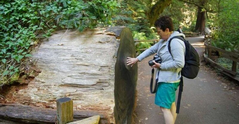 san-francisco-muir-woods-tour-hop-on-hop-off-bus-pass