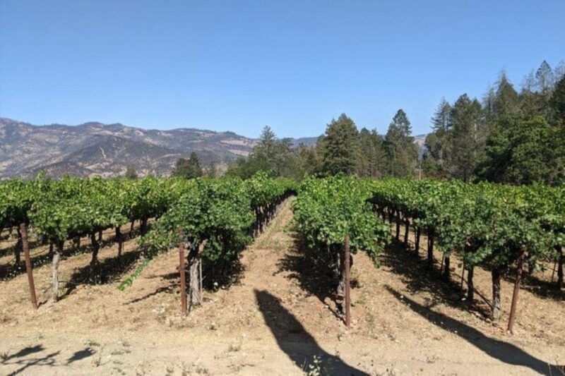 san-francisco-napa-and-sonoma-valley-private-wine-tour