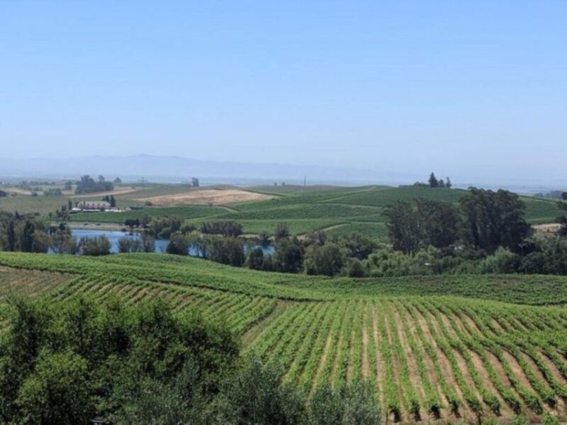 san-francisco-napa-and-sonoma-valley-private-wine-tour