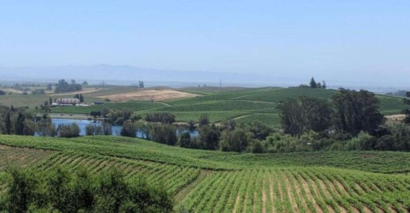 san-francisco-napa-and-sonoma-valley-private-wine-tour