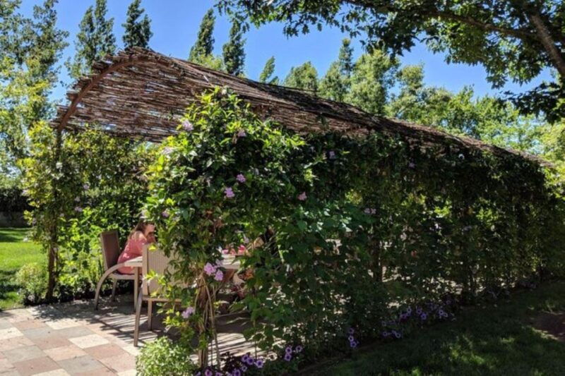 san-francisco-napa-and-sonoma-valley-private-wine-tour
