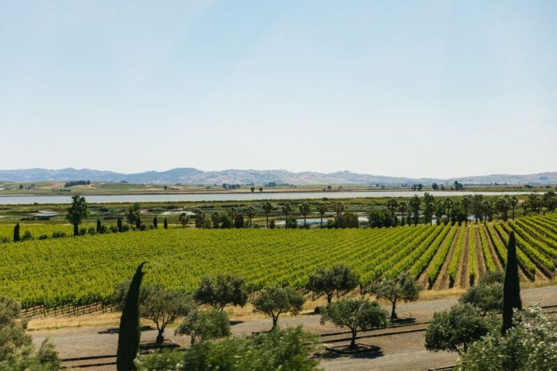 san-francisco-napa-and-sonoma-valley-wine-tour