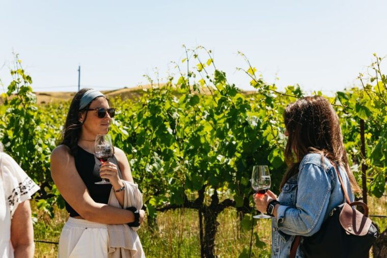 san-francisco-napa-and-sonoma-valley-wine-tour