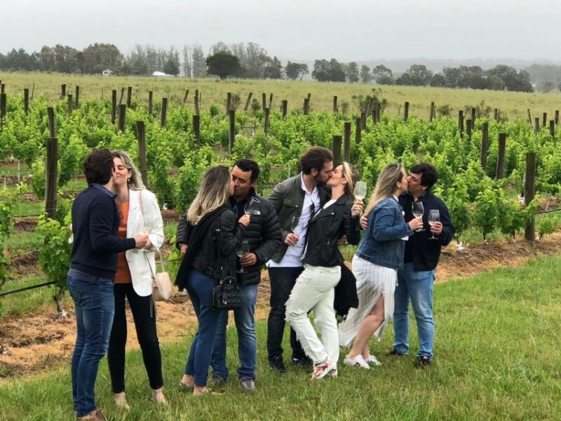 san-francisco-napa-valley-half-day-wine-tour-with-tastings