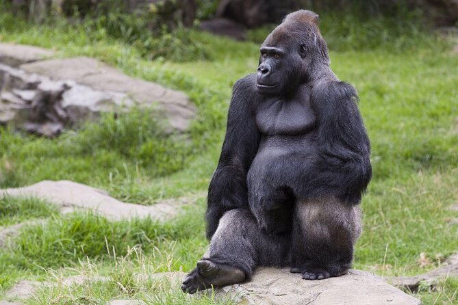 san-francisco-pass-save-up-to-50-includes-big-bus-tours-2