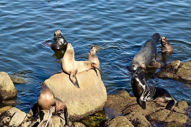 san-francisco-private-english-guided-full-day-sightseeing-tour