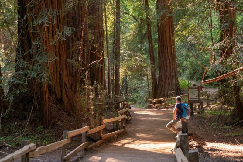 san-francisco-private-muir-woods-and-sausalito-tour