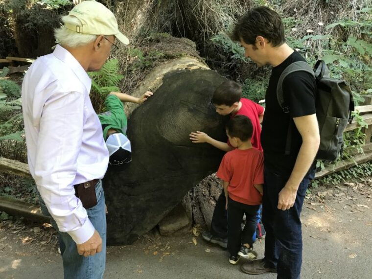 san-francisco-private-muir-woods-and-sausalito-tour