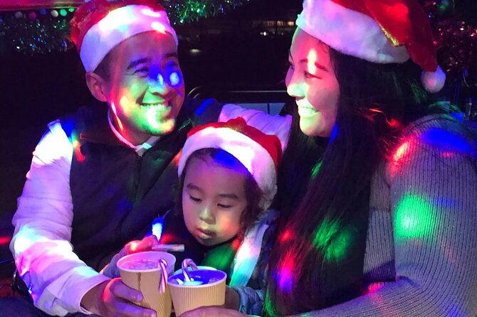 san-francisco-private-small-group-holiday-lights-tour