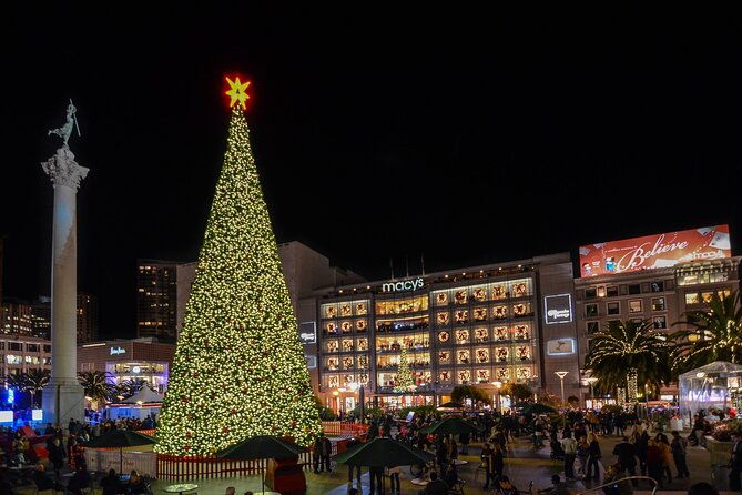 san-francisco-private-small-group-holiday-lights-tour