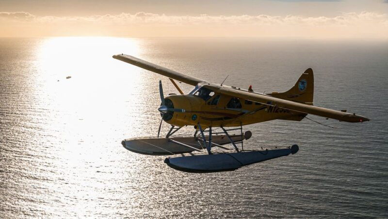 san-francisco-seaplane-flight-with-champagne