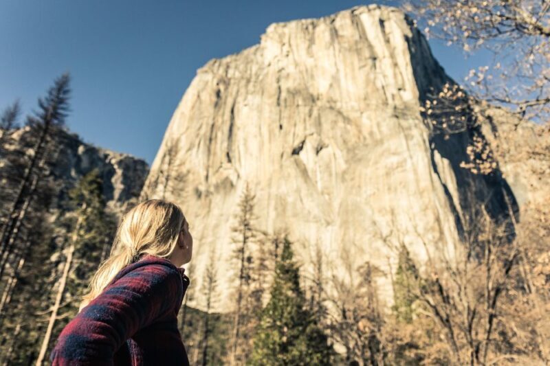San Francisco to/from Yosemite National Park: 1-Way Transfer - Final Thoughts