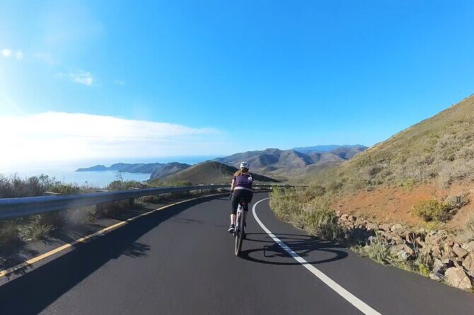 San Francisco to Muir Woods Cycling Tour - Key Points