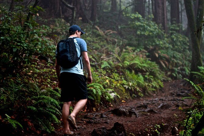 san-francisco-to-muir-woods-shuttle