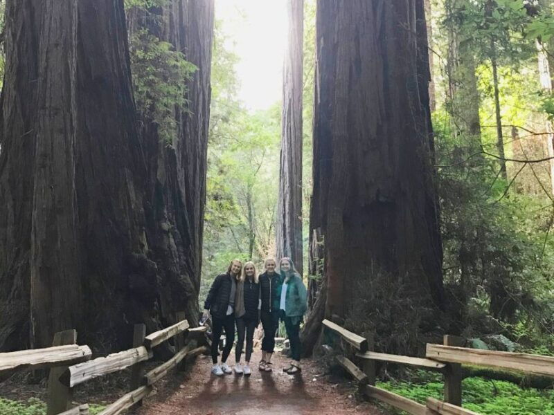san-francisco-tour-to-muir-woods-giant-redwoods-sausalito
