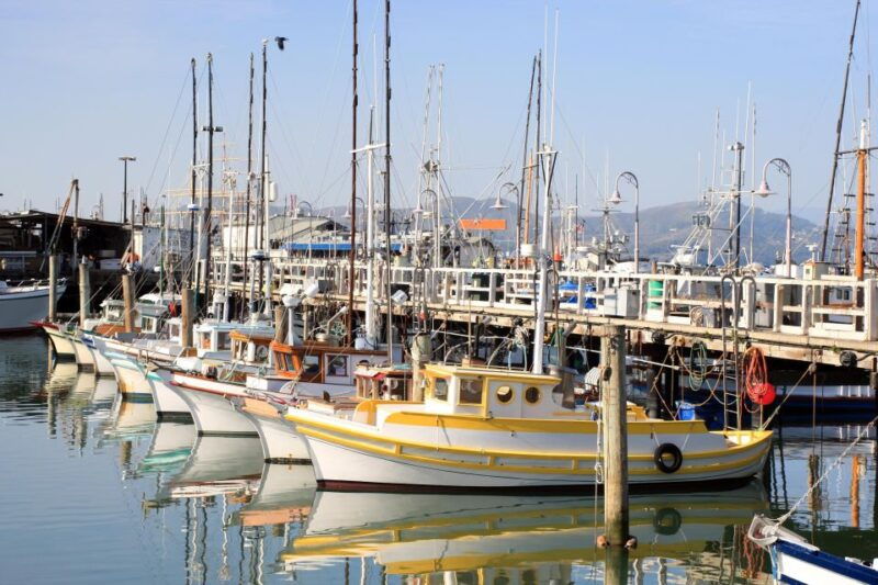 san-francisco-ultimate-city-tour-with-bay-cruise-option