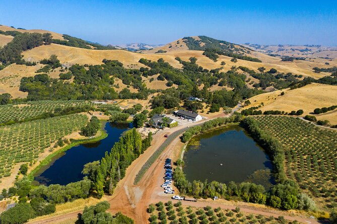 san-francisco-virtual-food-tour-with-local-guide