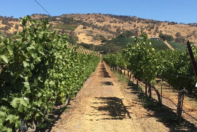 san-francisco-wine-tour-with-a-local-expert-6-tastings-100-personalized