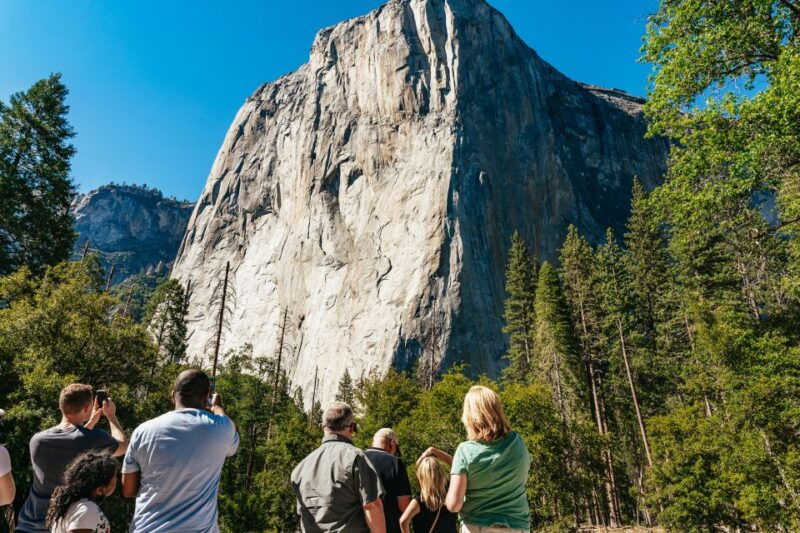 san-francisco-yosemite-national-park-giant-sequoias-hike