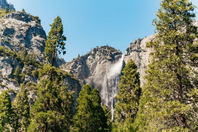 san-francisco-yosemite-national-park-giant-sequoias-hike