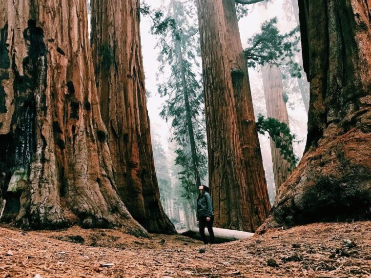 san-francisco-yosemite-park-2-day-trip-with-accommodation