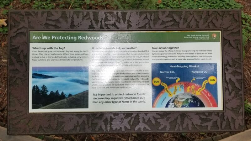 San Fransico: Muir Woods & Marin Headlands Private Tour - Key Points