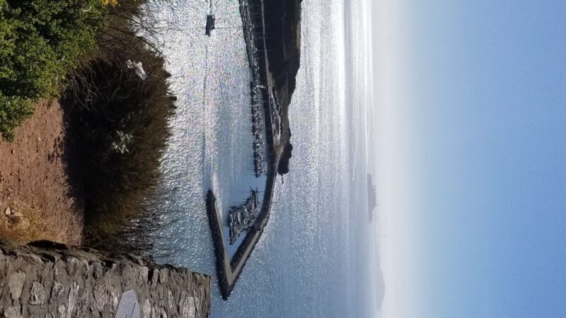 San Fransico: Muir Woods & Marin Headlands Private Tour - Who Is This Tour Best For?