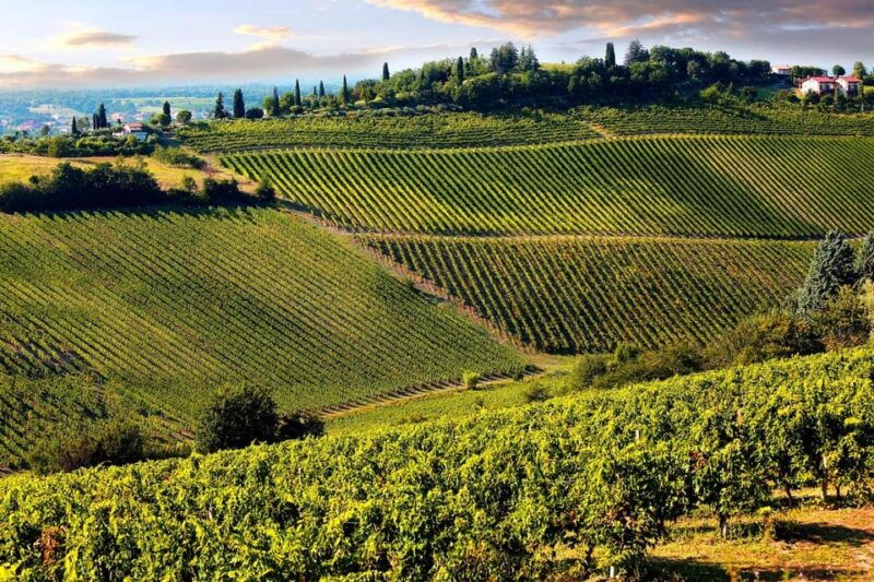 san-gimignano-and-a-winery-with-light-lunch-from-pisa