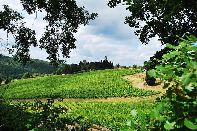san-gimignano-and-chianti-classico-wine-and-food-private-tour-from-florence