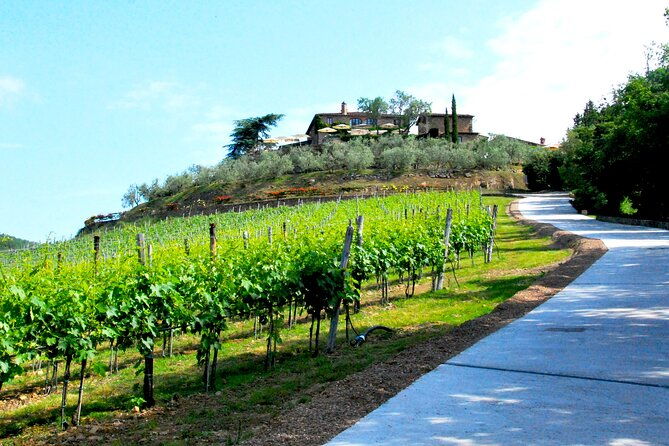 san-gimignano-and-chianti-classico-wine-and-food-private-tour-from-florence