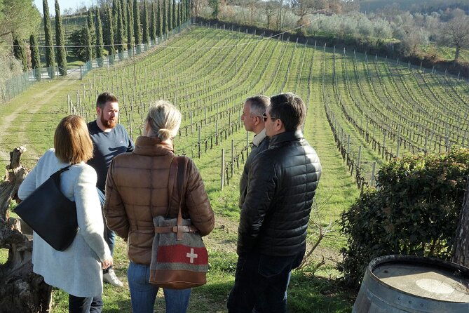 san-gimignano-and-vernaccia-wine-tour-with-lunch-at-farm