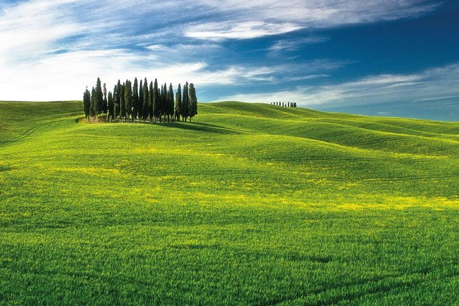 san-gimignano-chianti-and-montalcino-day-trip-from-siena