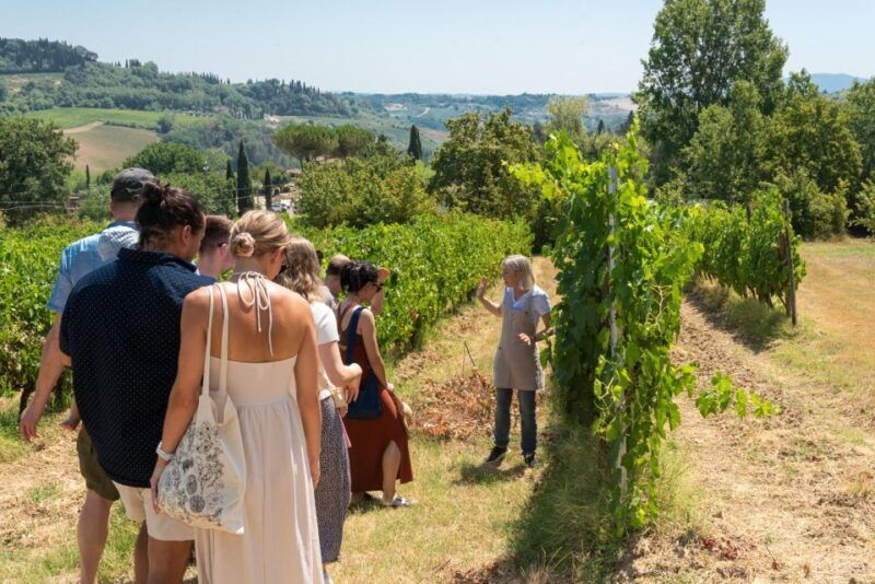 san-gimignano-premium-wine-tour-with-lunch