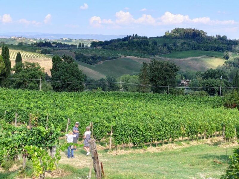 san-gimignano-premium-wine-tour-with-lunch